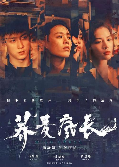 江苏师范大学学位证书
